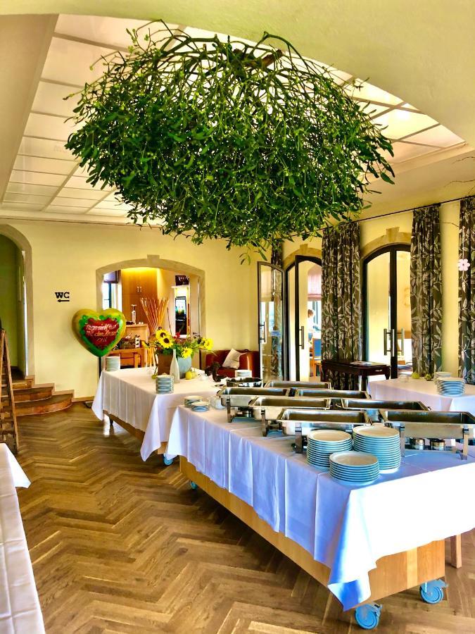 Hotel Spitzhaus Radebeul Zewnętrze zdjęcie