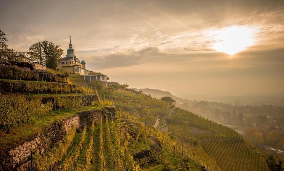 Hotel Spitzhaus Radebeul Zewnętrze zdjęcie